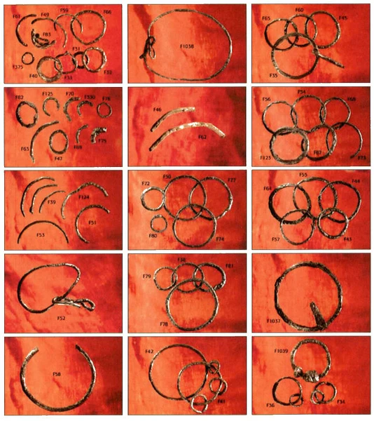 Some of the arm rings excavated at Lilla Ullevi