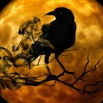 Samhain Halloween