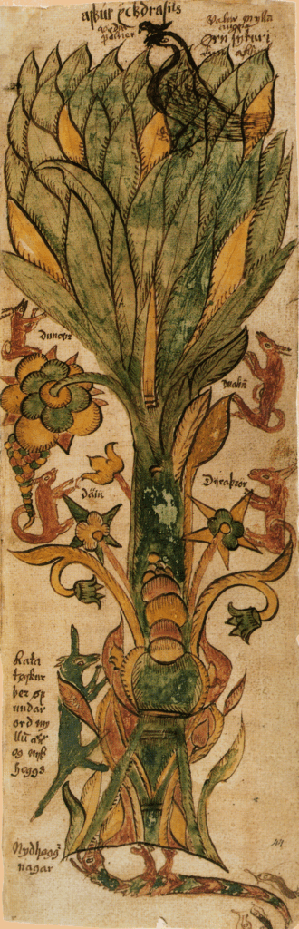 Illustration d'Yggdrasil tirée d'un manuscrit islandais du XVIIe siècle (AM 738 4to)