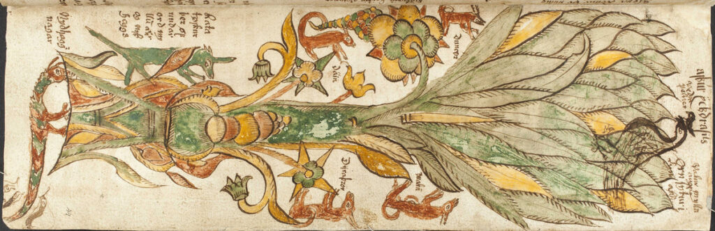 Yggdrasil mit Nidhoggr , der in seinen Wurzeln wohnt, Manuskript AM 738 4to, 43r, 1680. Quelle : ￼Stofnun ￼Árna￼ ￼Magnússonar ￼í ￼íslenskum￼ ￼fræðum ￼in ￼Island