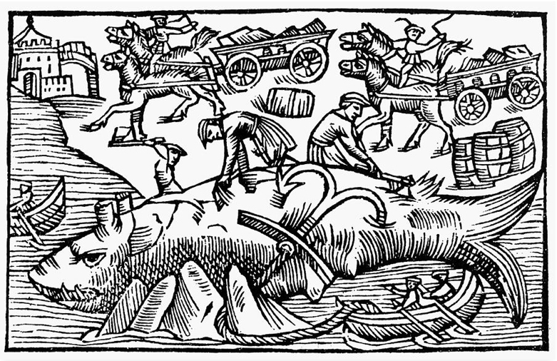 Historia om de Nordiske Folke . Von Olaus Magnus, Rom 1555. Buch 21, Kapitel 15