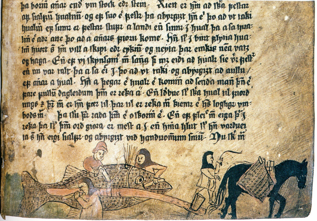 Icelanders flensing a whale, manuscript AM345fol, 16th century