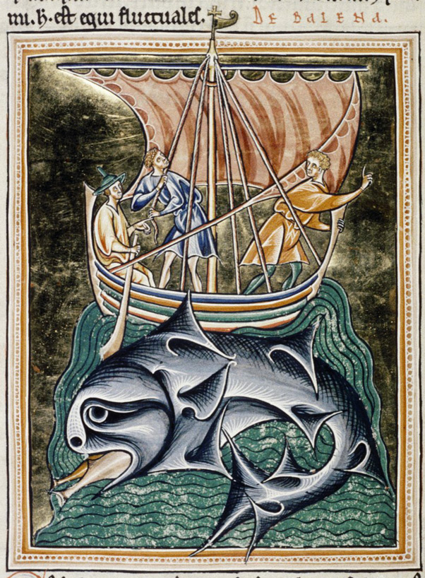 Der Wal, Handschrift MS. Ashmole 1511, Folio 86v., ca. 1200–1225. Quelle: Bodleian Library